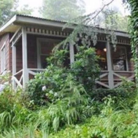 Bygone Beautys Cottages Leura Extérieur photo